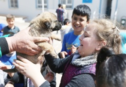 Miniklere hayvan sevgisi aşılanıyor