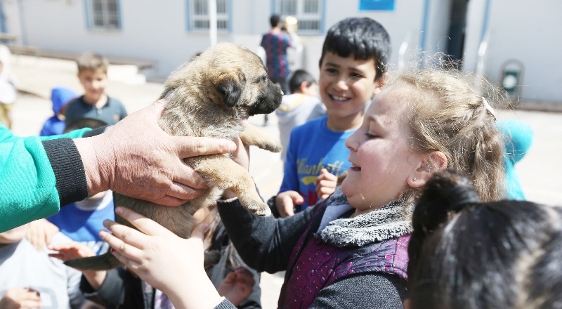 Miniklere hayvan sevgisi aşılanıyor