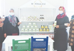 Hindistan’dan getirdiler, Nurdağı’nda yetiştirip satıyorlar