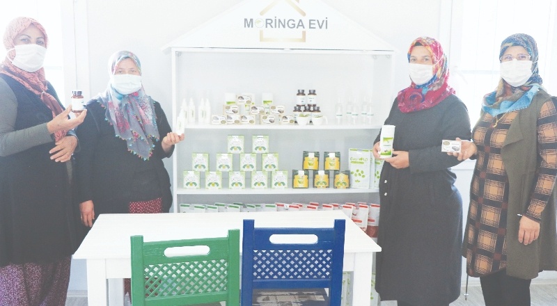 Hindistan’dan getirdiler, Nurdağı’nda yetiştirip satıyorlar