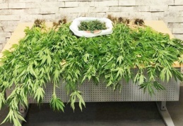 Motosikletçi kaskında gizlenen uyuşturucu polise takıldı