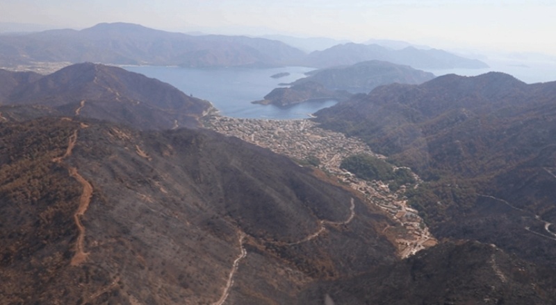 Muğla orman varlığının yüzde 8’ini kaybetti