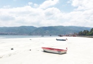 Müsilaj eylem planlarına baktığınızda buram buram ihale kokuları geliyor