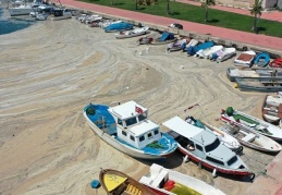 Müsilaj mağdurlarına 4.2 milyon liralık destek