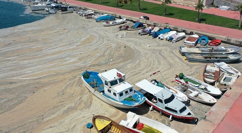 Müsilaj mağdurlarına 4.2 milyon liralık destek