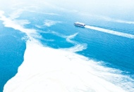 Müsilaj, mide, cilt ve vajinal enfeksiyonlara yol açabilir