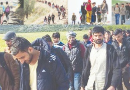 Mustafa Balbay yanıtladı: Afgan göçmenler arasında neden hiç kadın ve çocuk yok?