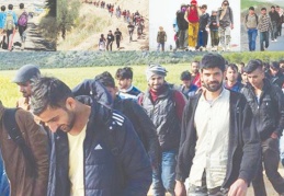 Mustafa Balbay yanıtladı: Afgan göçmenler arasında neden hiç kadın ve çocuk yok?