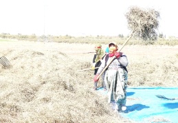 “Nane ihtiyacının yüzde 70’ini Nizip karşılıyor”