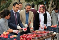 Nar Festivali’nde nar ekşisi yaptılar
