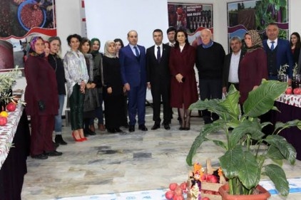 Nar ile yapılmış çok kaliteli ve çeşitli ürünler çıkaracağız