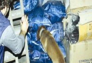 Narkotik köpeği, 7 kilo 490 gram eroin buldu