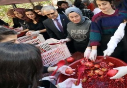 Narlar, odun ateşinde lezzete dönüştü