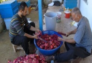 Narlar zahmetli yolculuğun ardından sofraları süslüyor