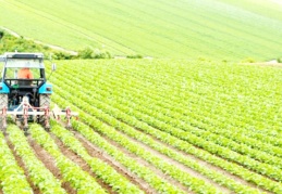 Neoliberal politikalar bırakılıp yerli tarım cazip hale getirilmeli