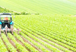 Neoliberal politikalar bırakılıp yerli tarım cazip hale getirilmeli