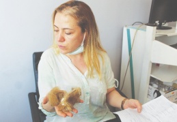 Neye uğradığını şaşıran hemşire 'darp ve iş göremez raporu' aldı