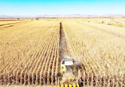 Nisan ayı tarım ürünleri üretici fiyat endeksi yıllık yüzde 118.53, aylık yüzde 17.76 arttı