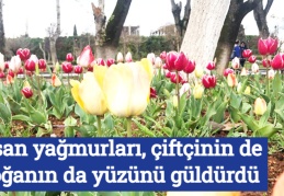 Nisan yağmurları, çiftçinin de doğanın da yüzünü güldürdü