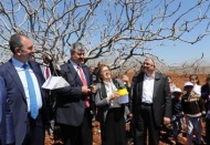 Nizip fıstık ve zeytin ile Gaziantep’e güç katıyor