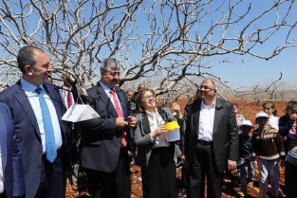 Nizip fıstık ve zeytin ile Gaziantep&#8217;e güç katıyor