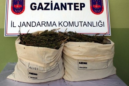 Nizip&#8217;te 30 kilo esrar ele geçirildi