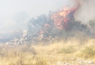 Nizip’te çıkan orman yangını kontrol altına alındı