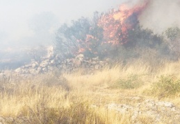 Nizip’te çıkan orman yangını kontrol altına alındı