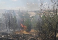 Nizip'te orman yangını