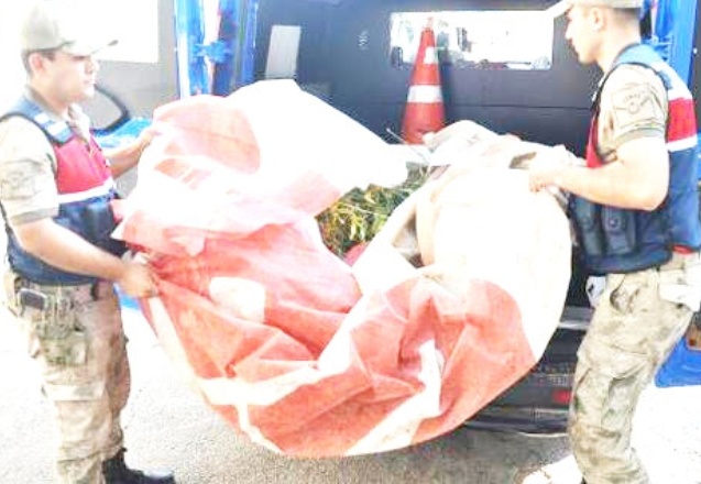 Nizip'te üzerinde esrar yakalanan 6 kişi gözaltına alındı