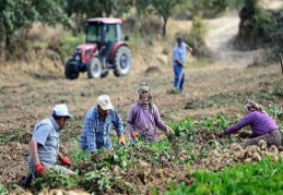 Nüfusun yüzde 8'i köyde yaşıyor