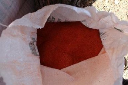 Nurdağı ilçesinde 3 ton "sahte pul biber" ele geçirildi