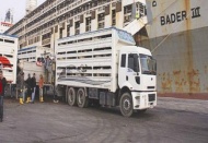 Ocak ithalatının %79'unu 4 il yaptı