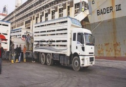 Ocak ithalatının %79'unu 4 il yaptı