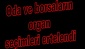 Oda ve borsaların organ seçimleri ertelendi