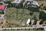 ODTÜ ruhu ağaçlar için direniyor