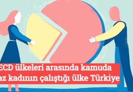 OECD ülkeleri arasında kamuda en az kadının çalıştığı ülke Türkiye