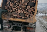 OGM'den deprem bölgesine 720 ton yakacak odun gönderildi