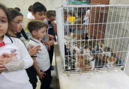 Öğrenciler biriktirdikleri harçlıklar ile sokak hayvanları için mama aldı 