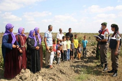 Öğrenciler tarlalardan toplanıyor 