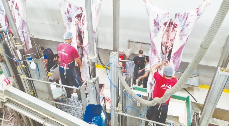 Oğuzeli’nde kurban kesim elemanı kursu açıldı