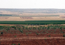 Oğuzelin’de sınırı geçiyorlar