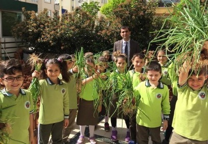 Okul bahçesinde organik sebze ve meyve üretiyorlar 