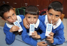 Okul sütü proğramına destek
