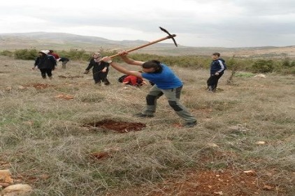 Okullara 2 bin adet çam fidanı dağıtıldı