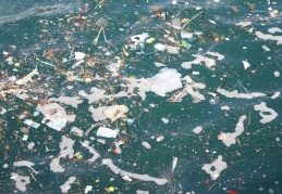 Okyanusların dibinde en az 14 milyon ton mikroplastik var