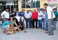 Olipmiyat başarısı kurban keserek kutladılar