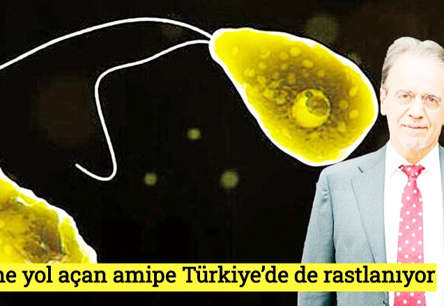 Ölüme yol açan amipe Türkiye’de de rastlanıyor