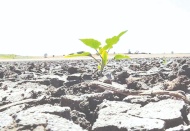 Önümüzdeki 10 yılda su krizi yaşanacak