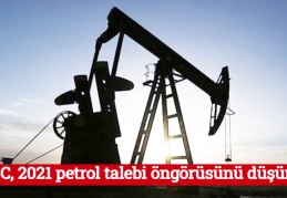 OPEC, 2021 petrol talebi öngörüsünü düşürdü